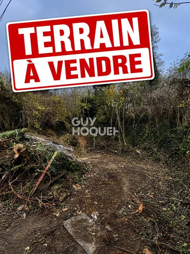 Terrain