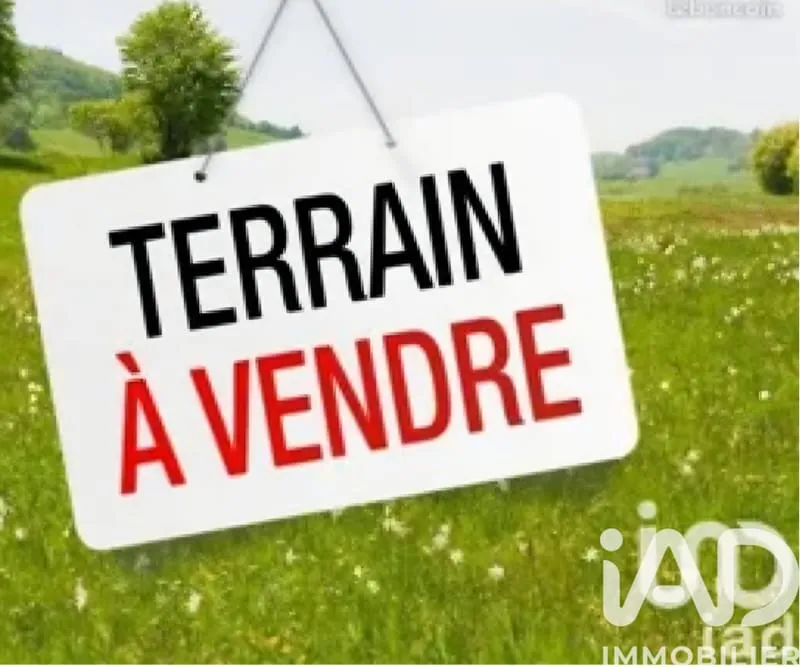 Terrain