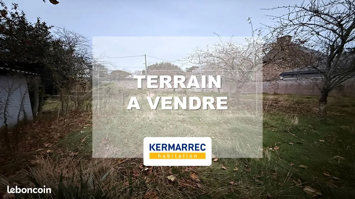 Terrain