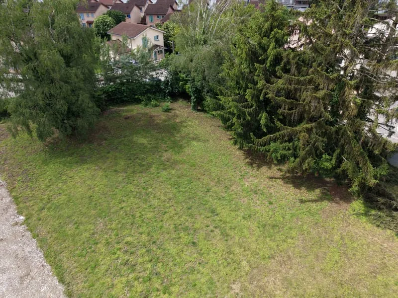 Terrain
