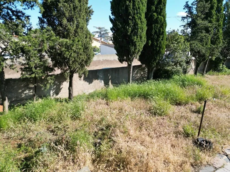 Terrain