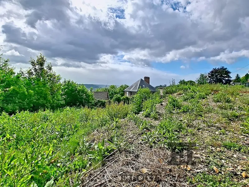 Terrain