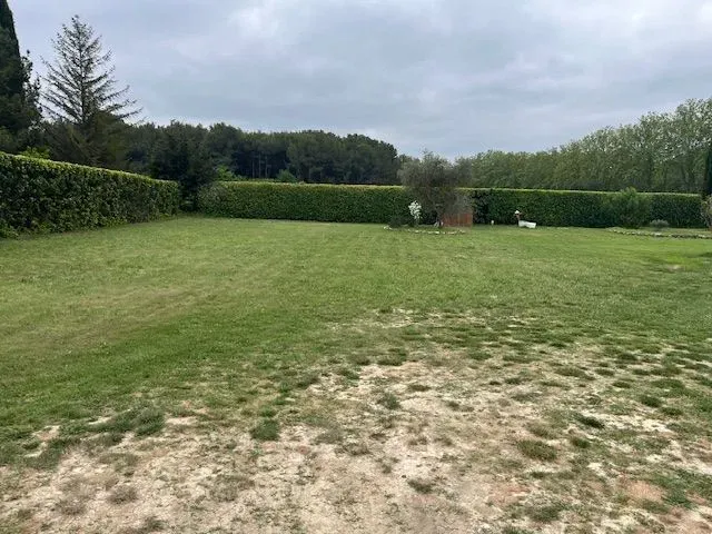 Terrain