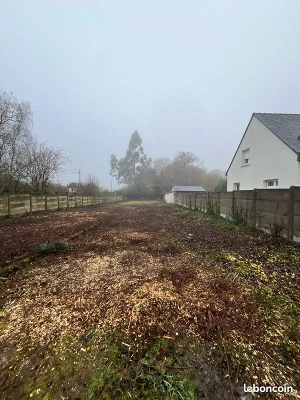 Terrain