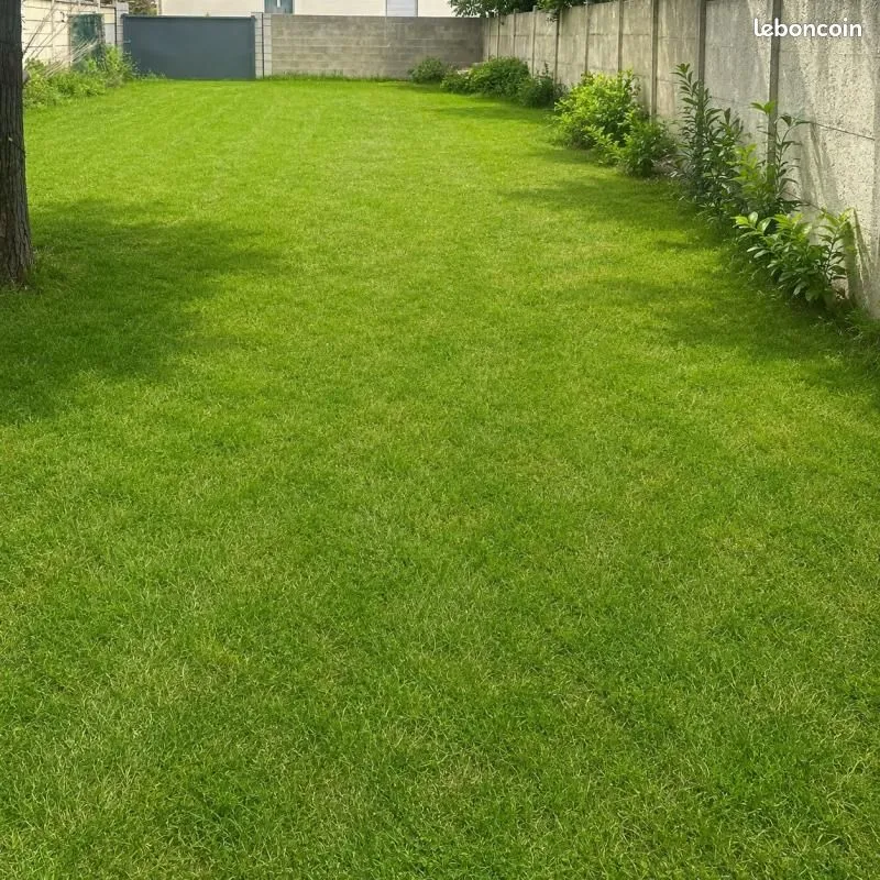 Terrain