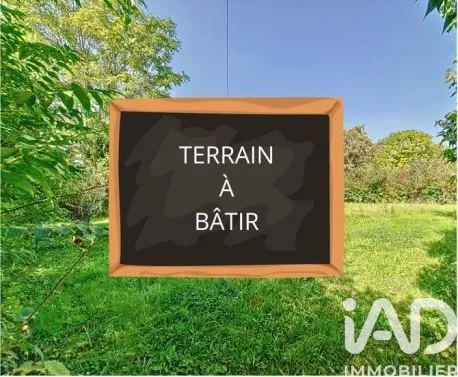 Terrain