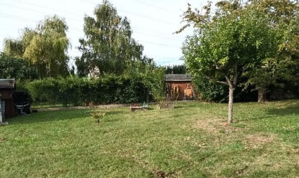 Terrain