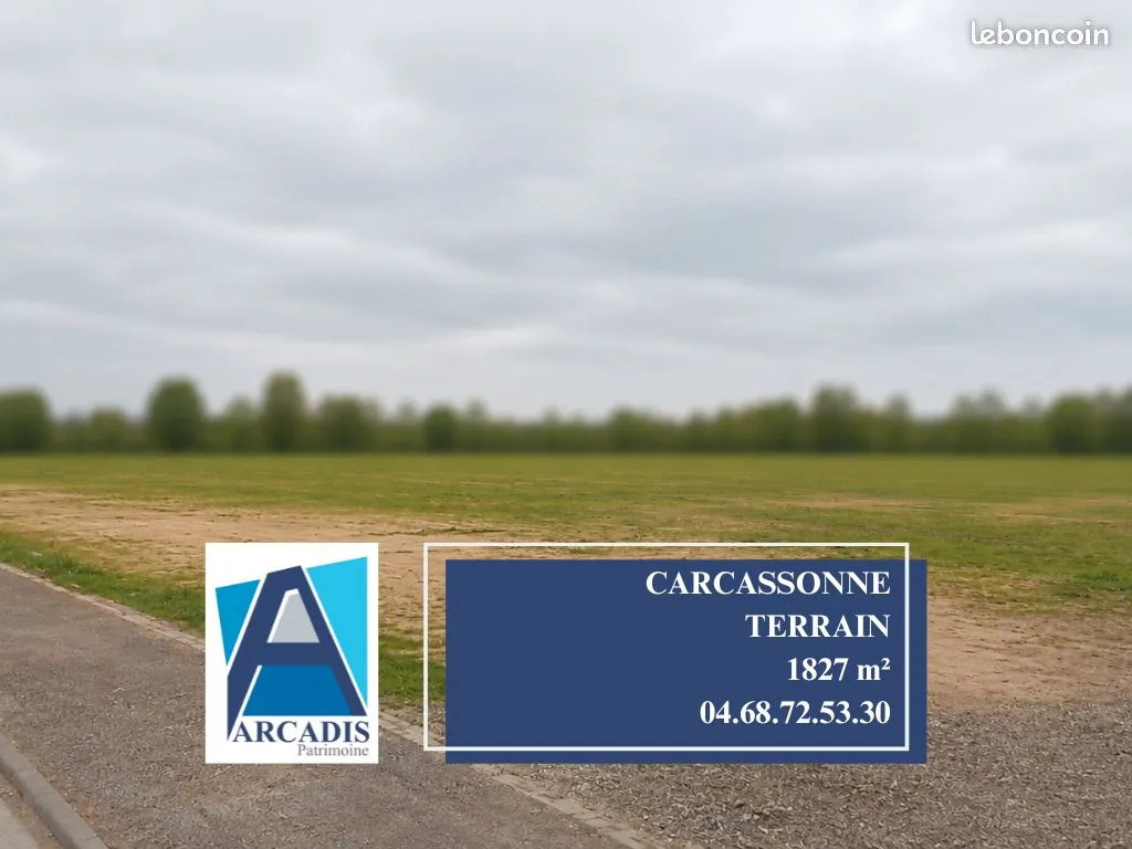 Terrain
