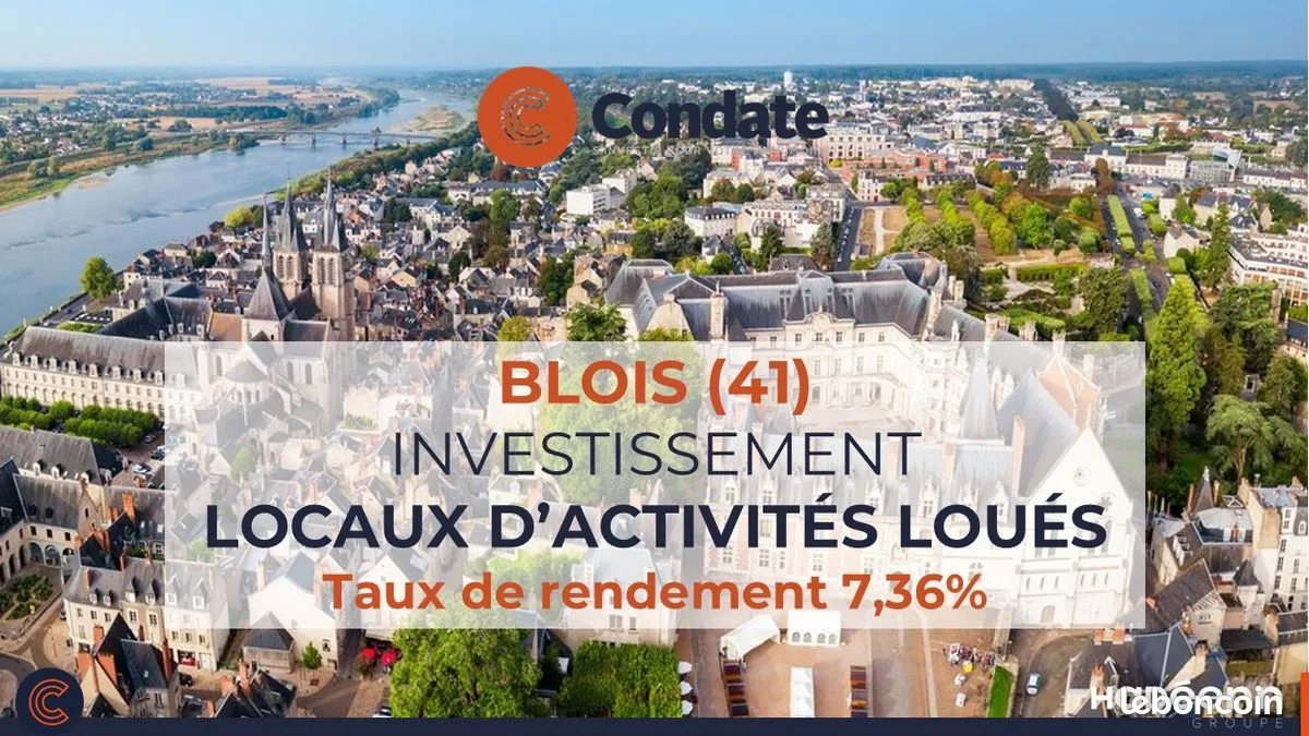Local d'activité