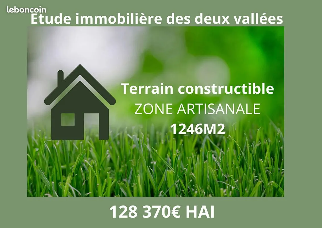 Terrain