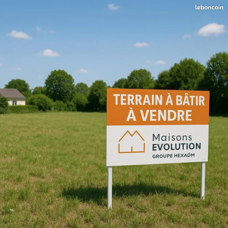 Terrain
