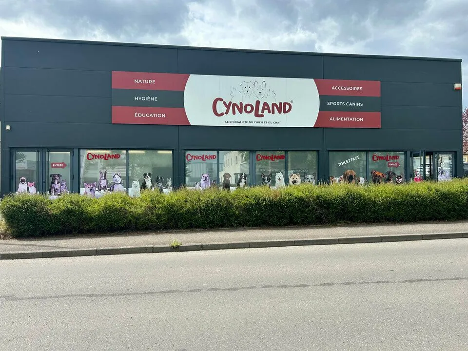 Local commercial