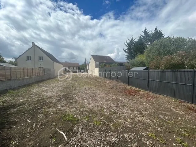 Terrain