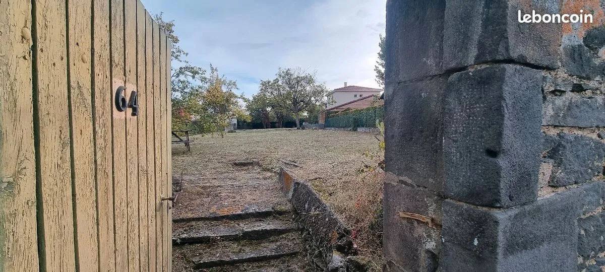 Terrain