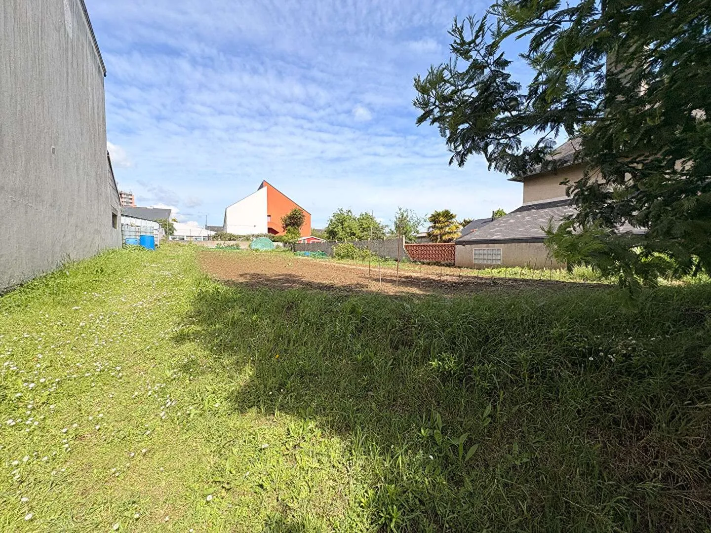 Terrain
