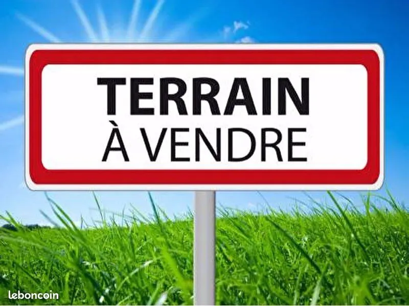 Terrain