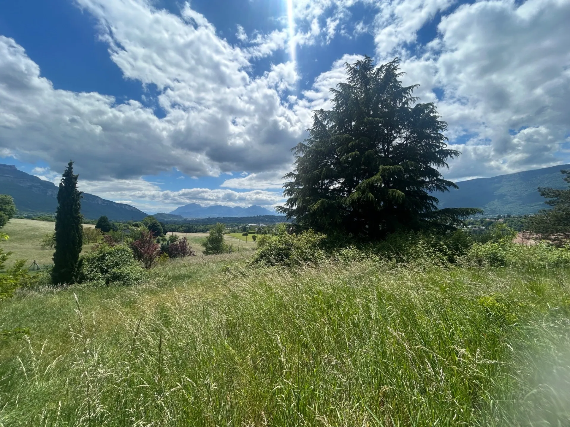 Terrain