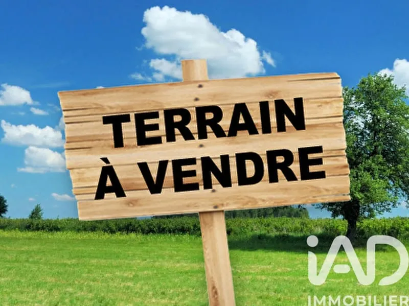 Terrain