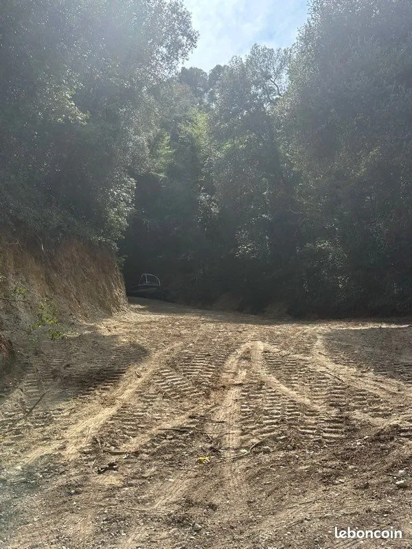 Terrain