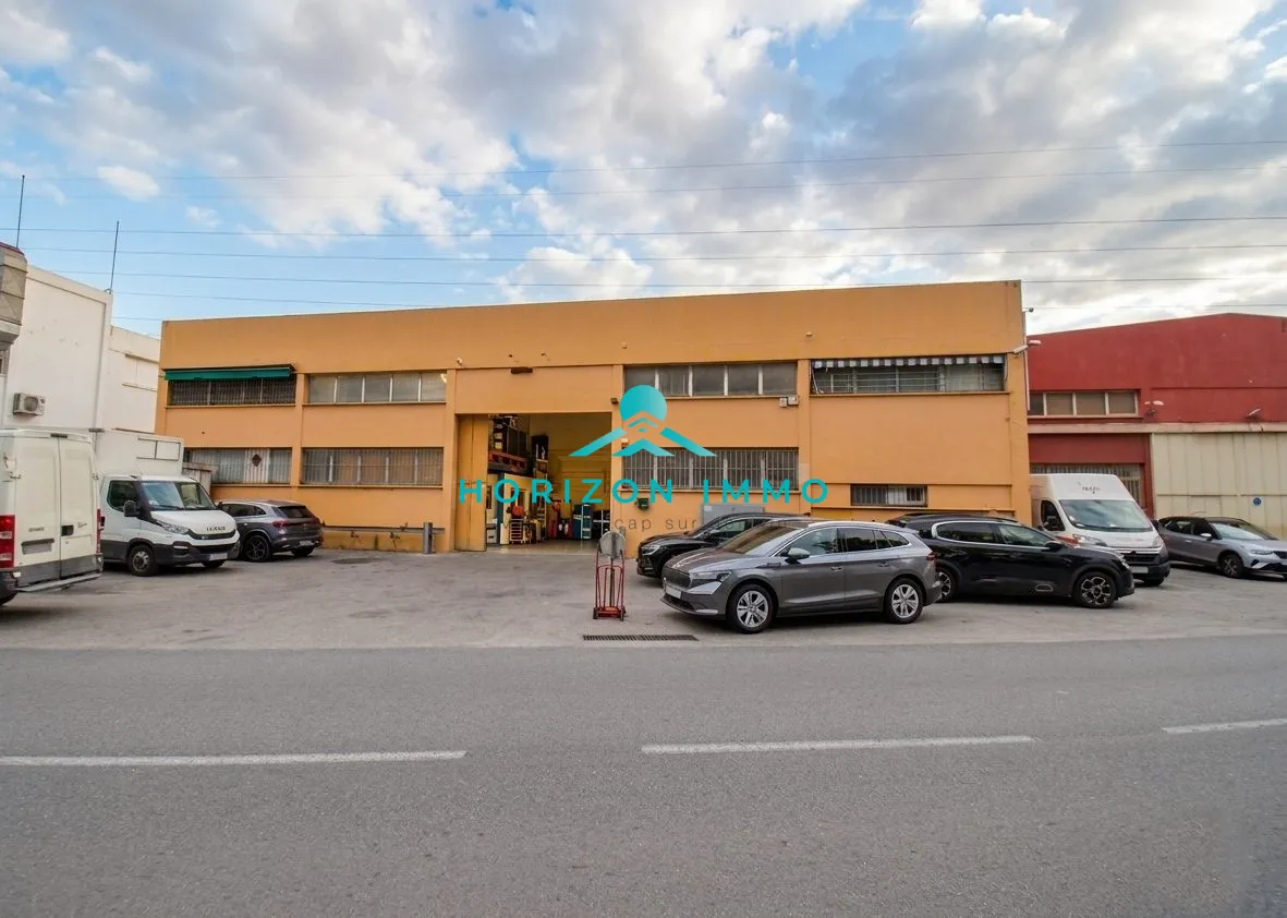 Local d'activité