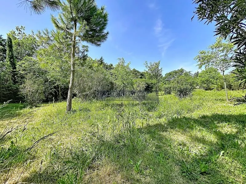 Terrain