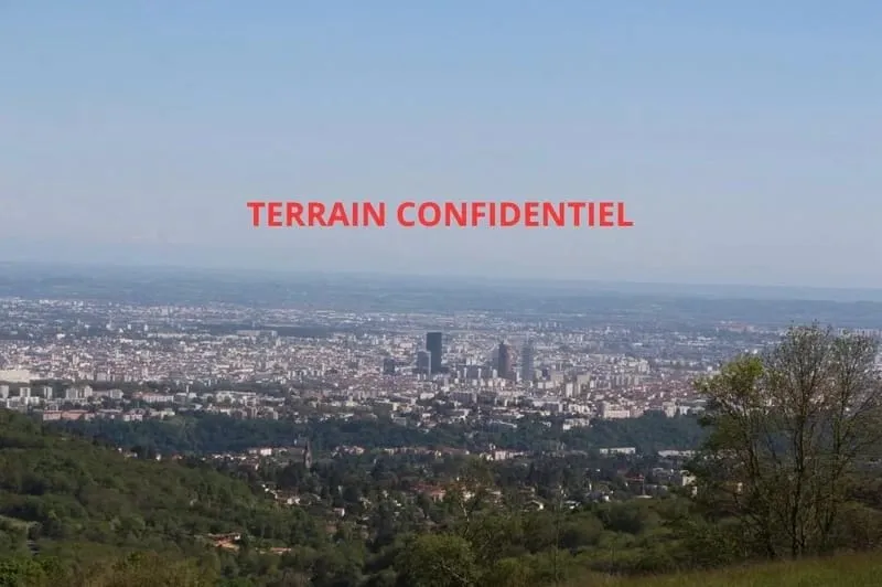 Terrain