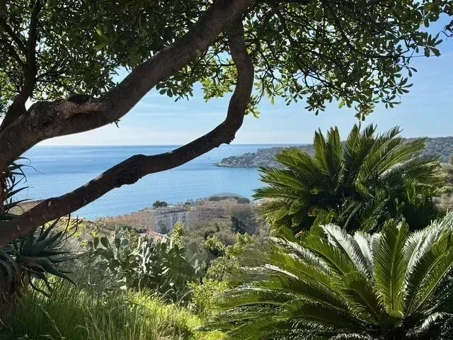 Terrain