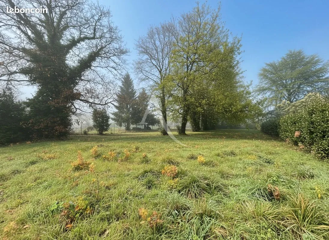 Terrain