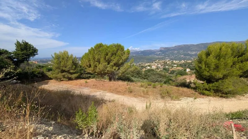 Terrain