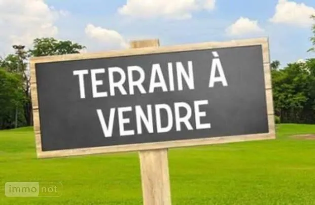Terrain