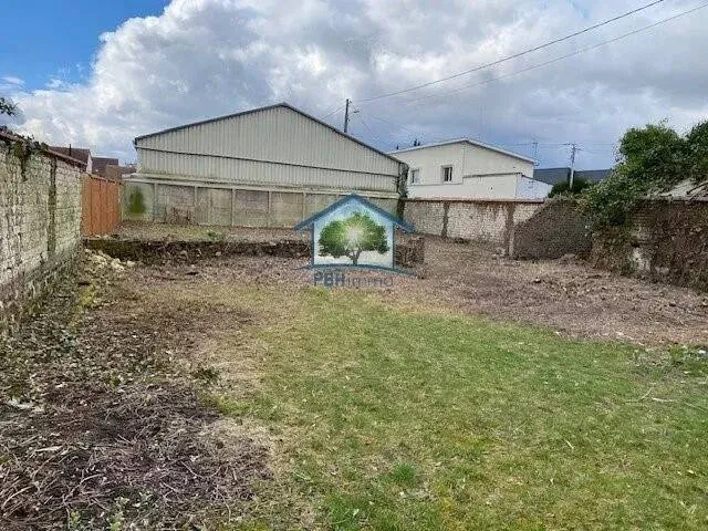 Terrain
