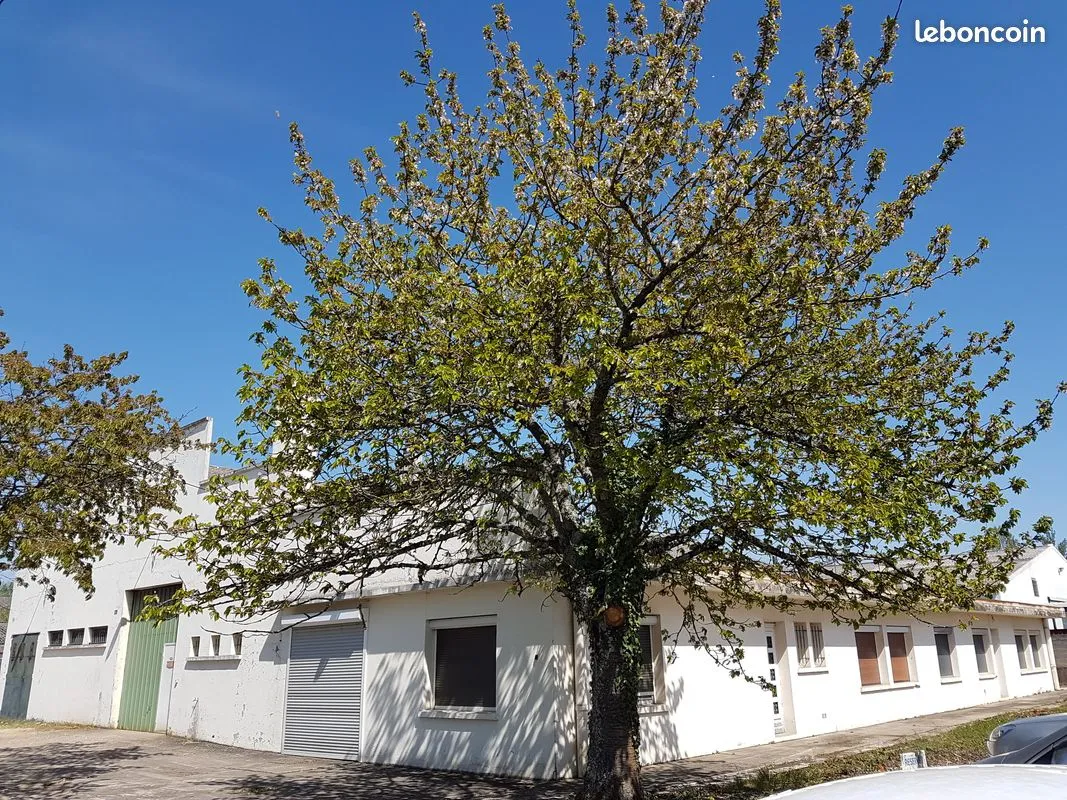 Local d'activité