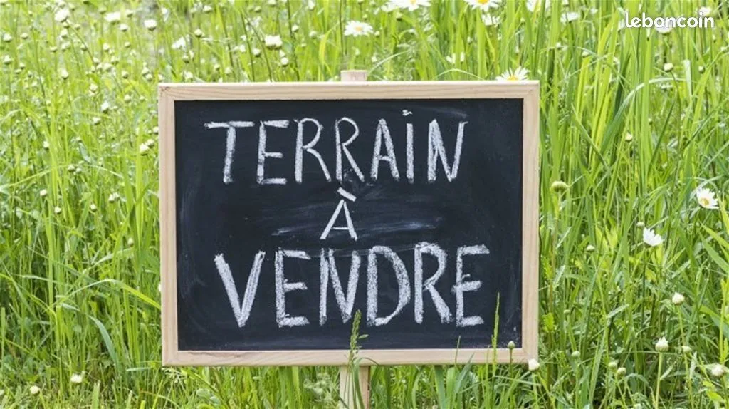 Terrain