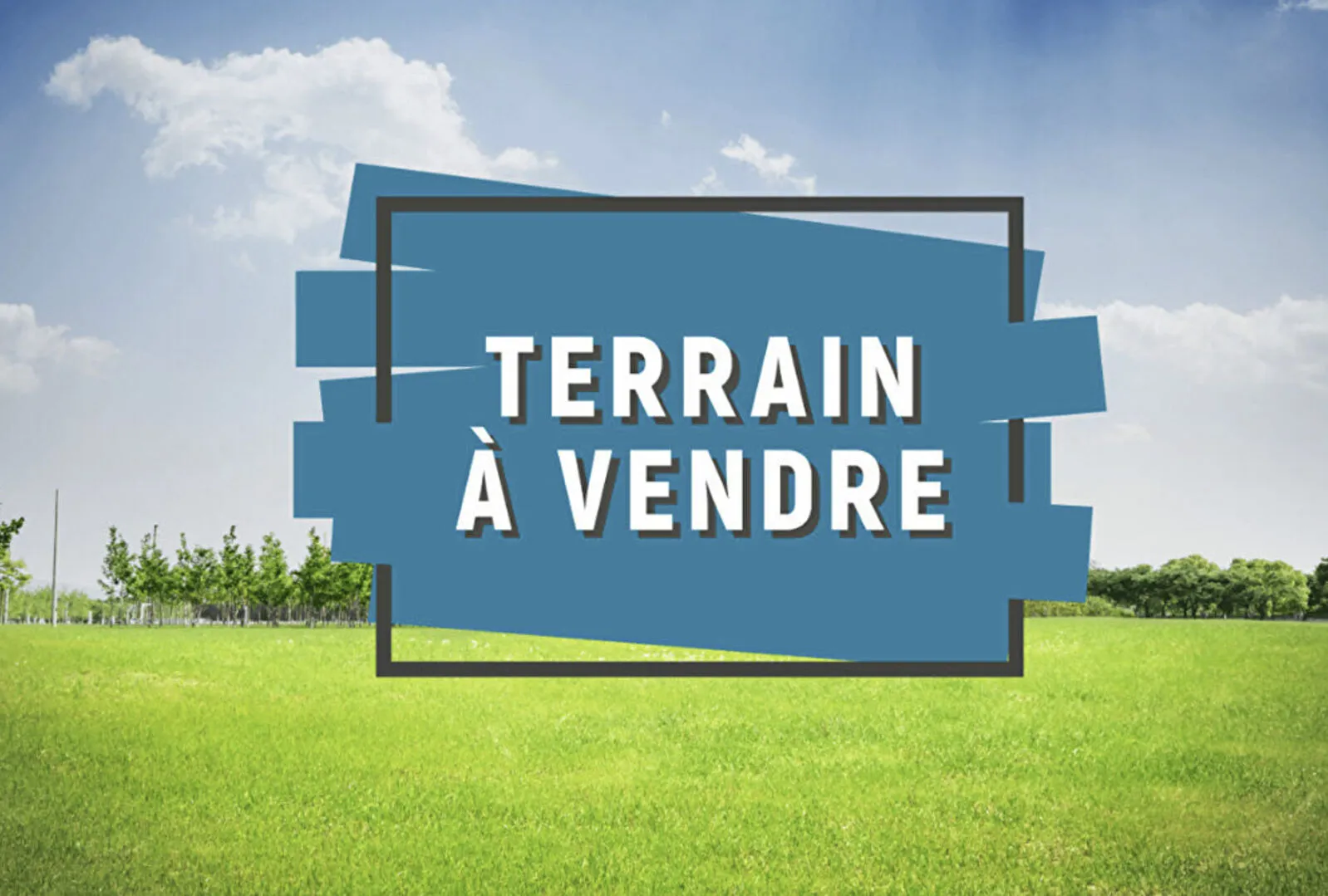 Terrain