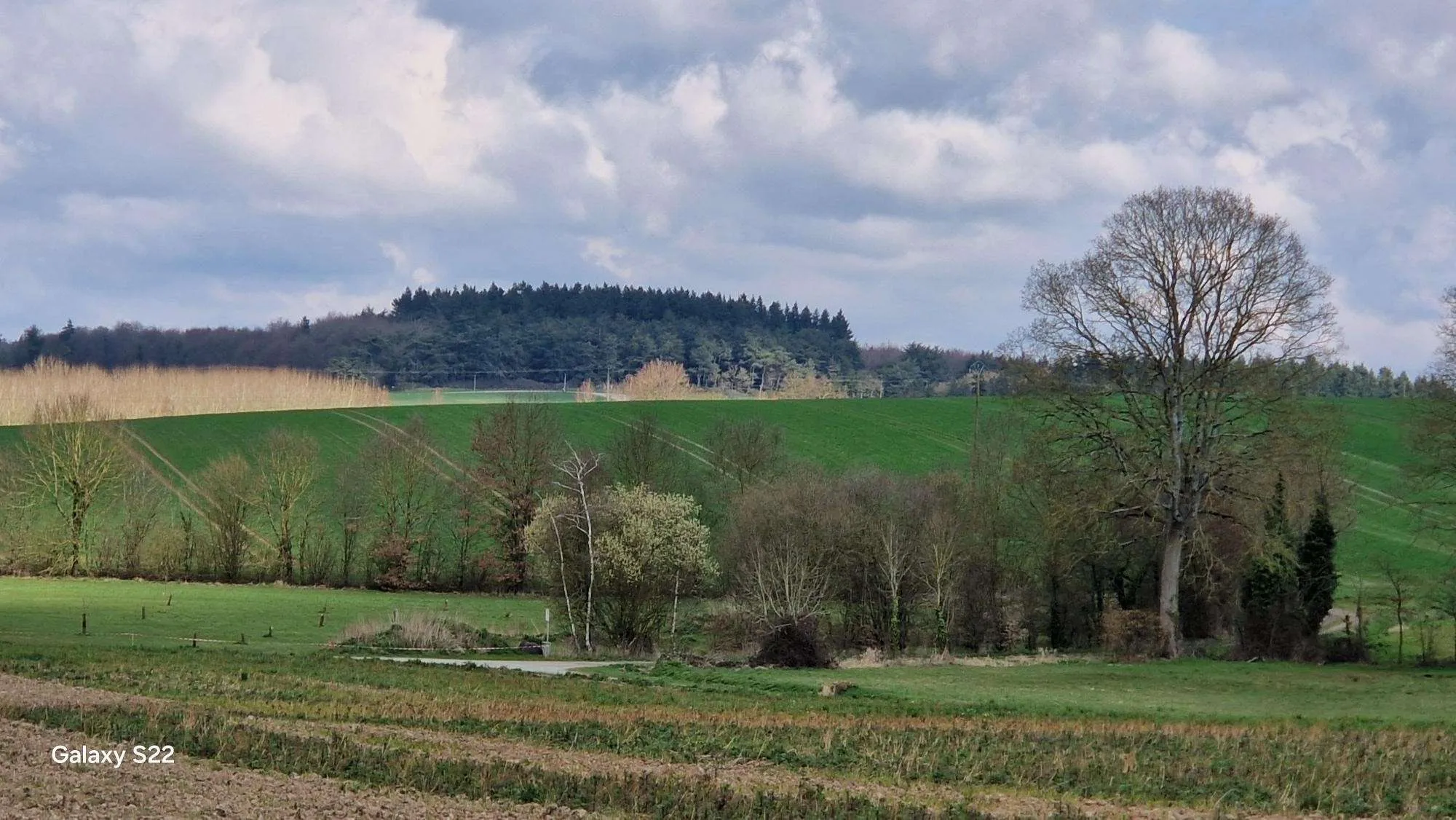 Terrain