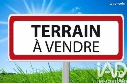 Terrain