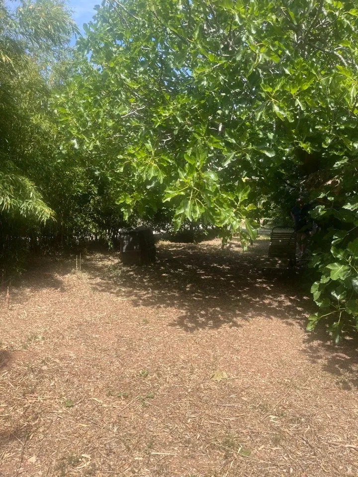 Terrain