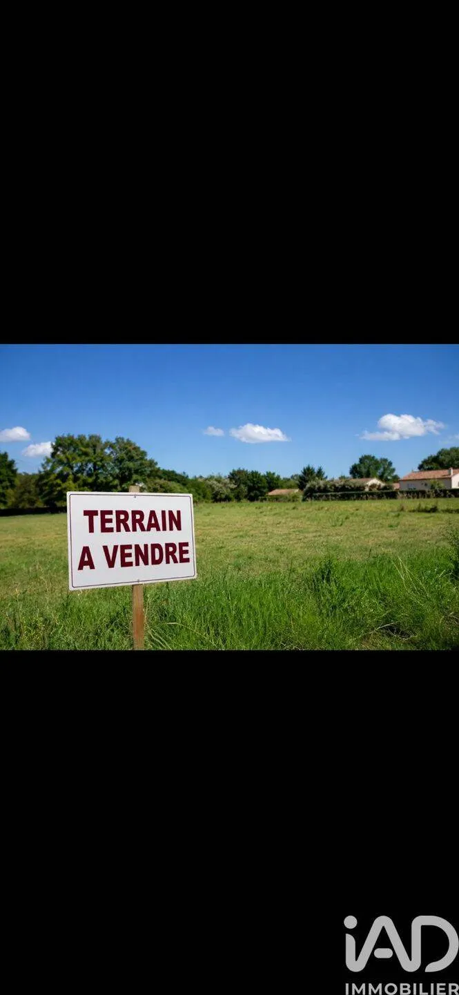 Terrain