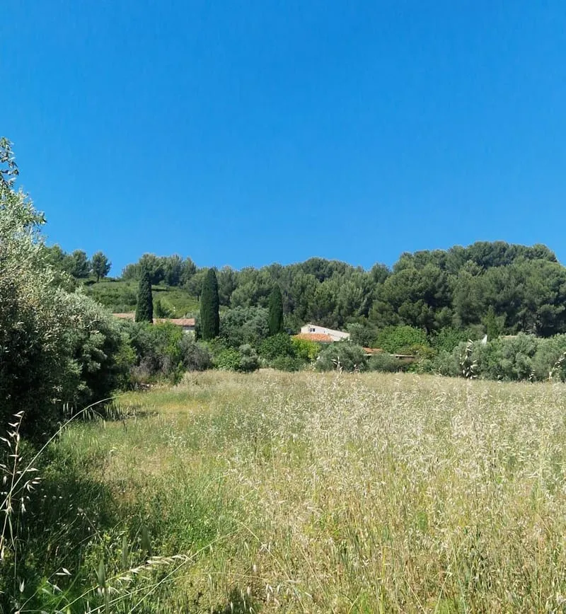 Terrain