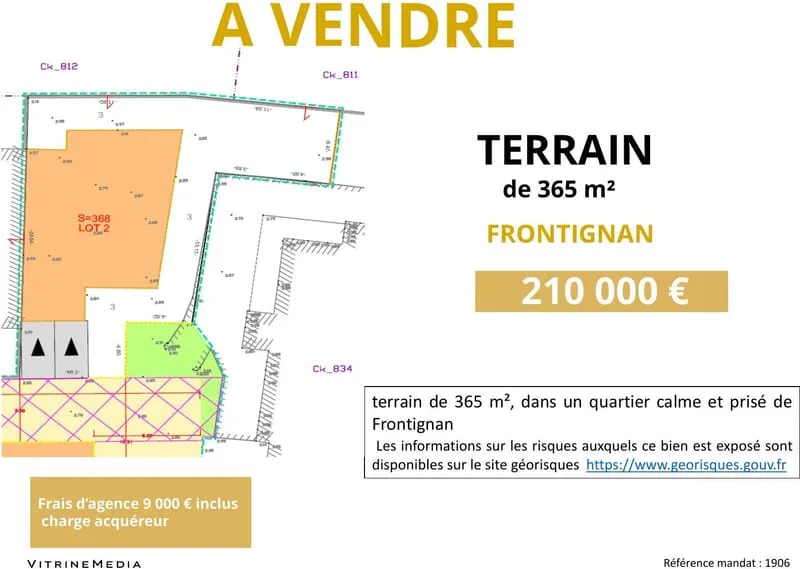 Terrain