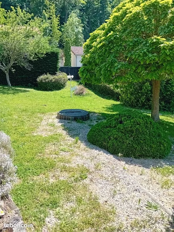 Terrain
