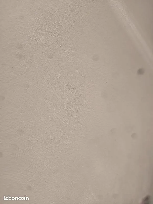 Local commercial