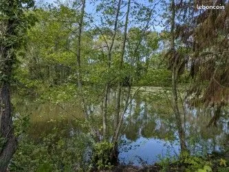 Terrain