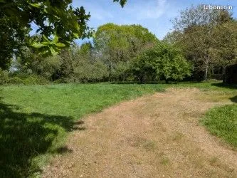Terrain