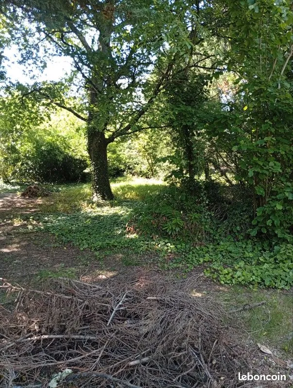 Terrain