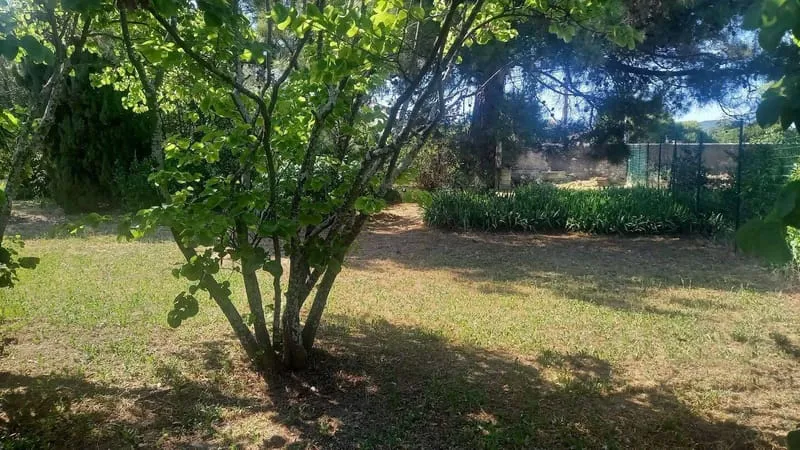 Terrain