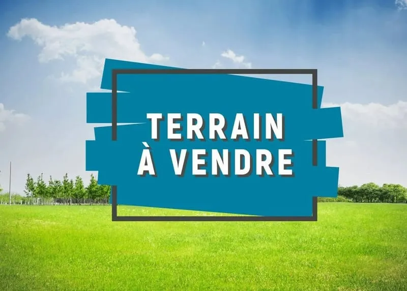 Terrain