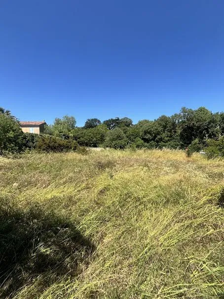Terrain