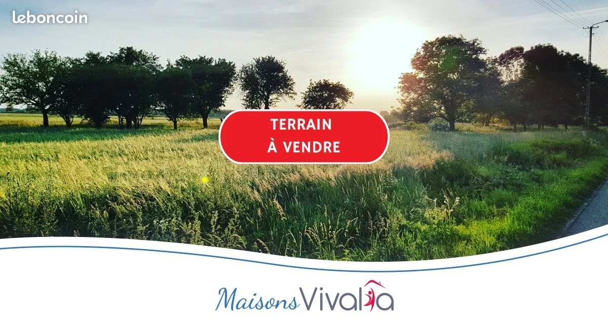 Terrain