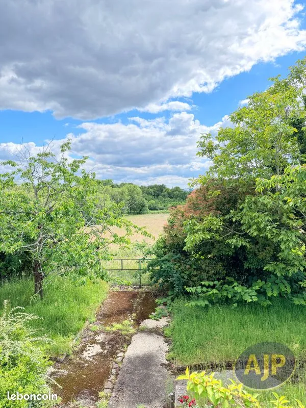Terrain
